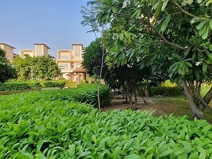 Experion Windchants Zen Garden Green Area
